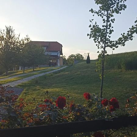 Stari Trsic Appartement Buitenkant foto