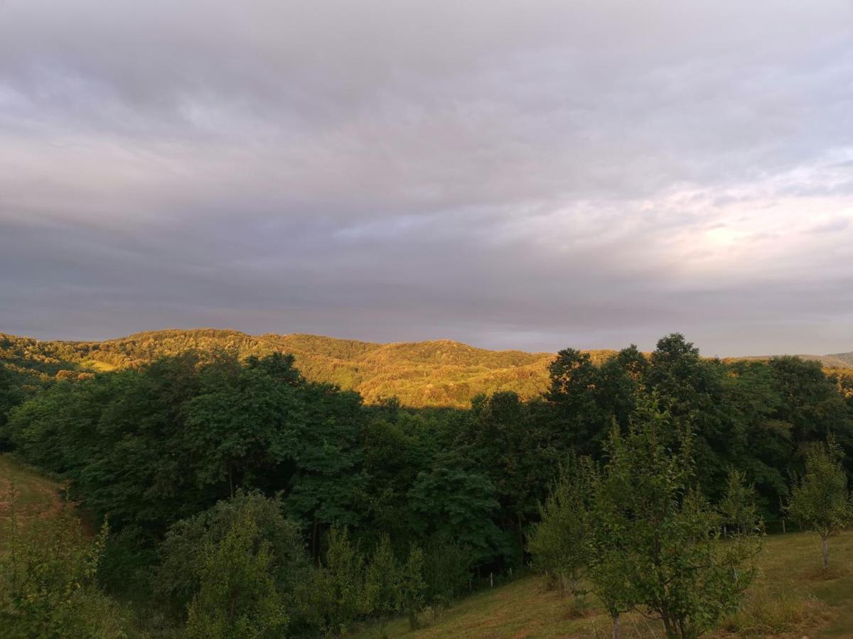 Stari Trsic Appartement Buitenkant foto