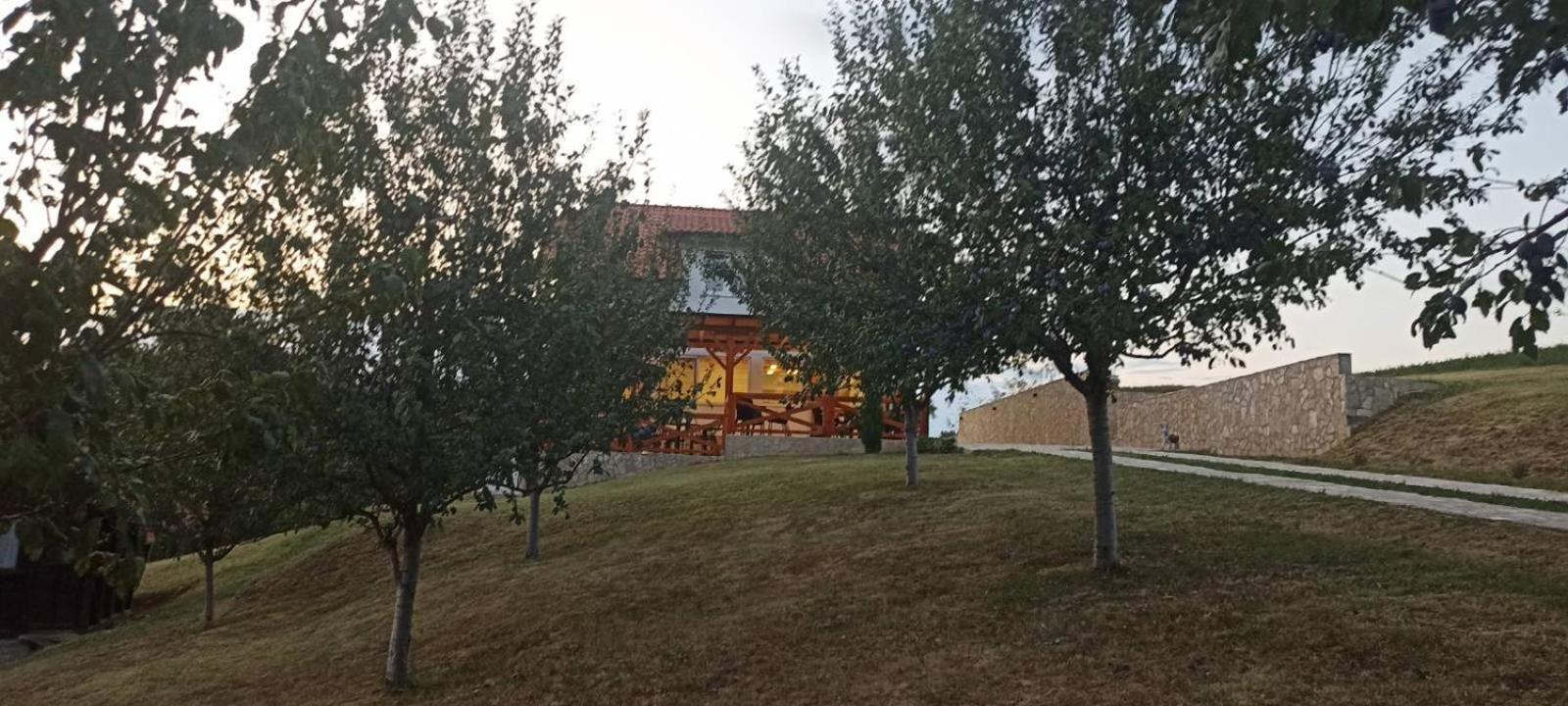Stari Trsic Appartement Buitenkant foto