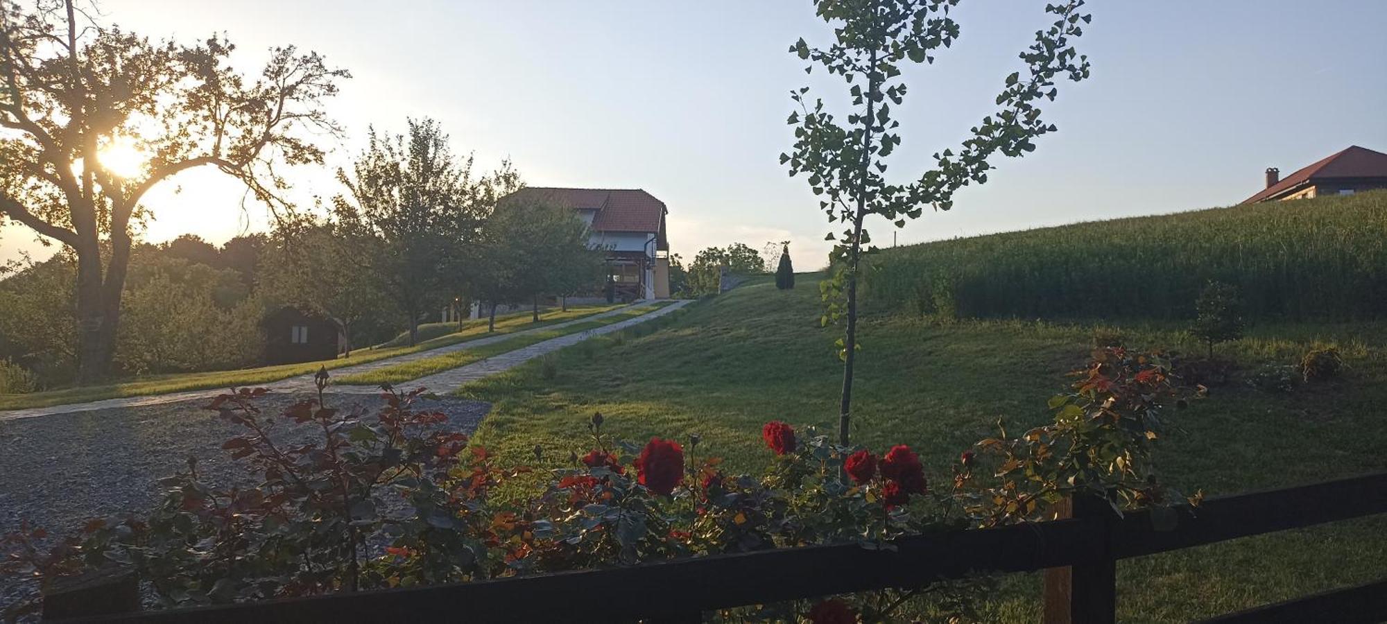 Stari Trsic Appartement Buitenkant foto